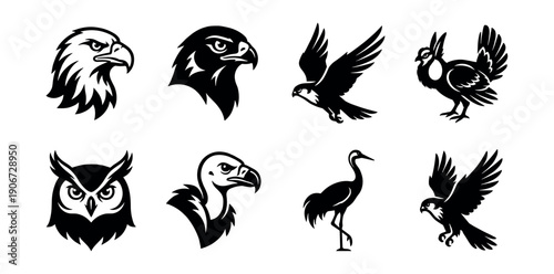 Bird black and white line illustrations set