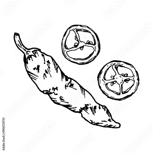 Black and white vector illustration of hot chili pepper and sliced pieces. Hand drawn spicy food in ink line art style for restaurant menus, packaging, cooking concepts and cuisine related designs.