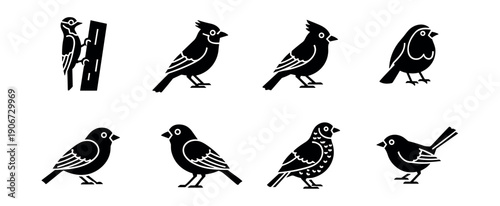 Bird silhouette icons set