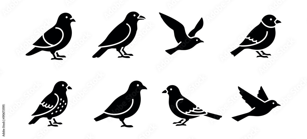 Fototapeta premium Black bird silhouette icons set