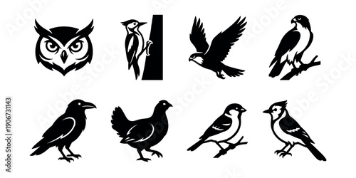 Bird species silhouette icons set