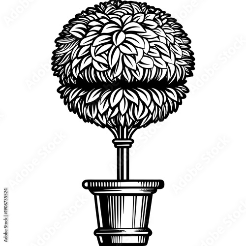 Elegant monochrome topiary drawing with lush leafy spheres in classic pot against white background