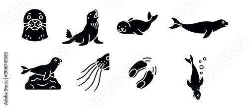 Seal and Sea Lion Silhouette Icons Set