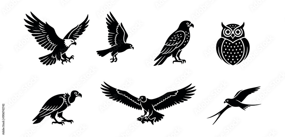 Obraz premium Bird Silhouette Collection