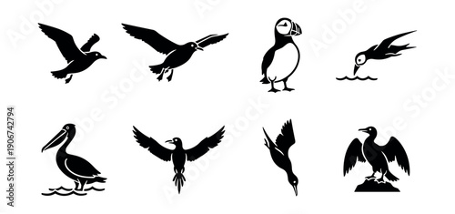 Seabirds Black Silhouette Collection