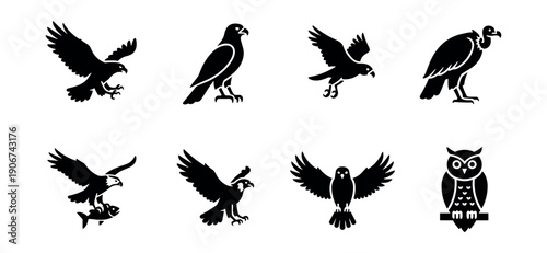 Birds of Prey Silhouette Icons Set