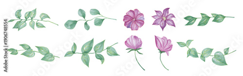  Purple flowers and green leaves for decoration, hand drawn watercolor vector illustration for greeting card or invitation design