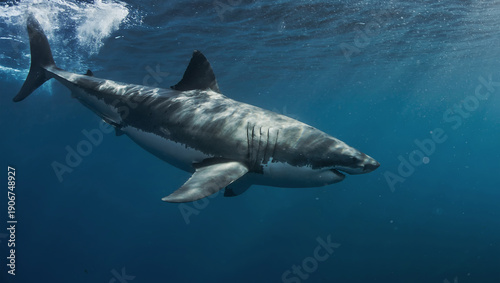 Great white shark in open ocean near Guadalupe Island, Mexico. Underwater photography of apex predator gliding through blue water with sunlight rays and dramatic marine atmosphere.