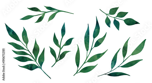 Wallpaper Mural Spring- summer green leaves clip art isolated Torontodigital.ca