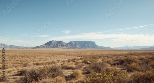 Expansive arid plains merging into distant mountainous horizon beneath clear sky