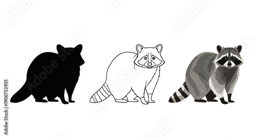 Collection of three distinct raccoon illustrations showcasing a silhouette a black and white outline and a detailed colored graphic representation