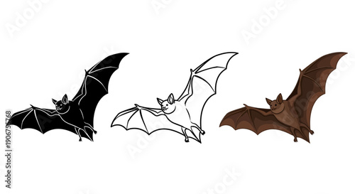 Collection of three distinct bat illustrations showing different graphic styles including silhouette outline and full color for wildlife design projects