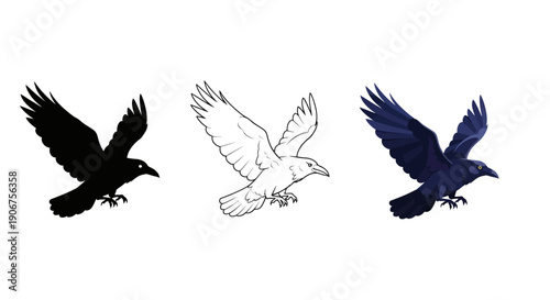 Collection of three distinct illustrative styles featuring a magnificent black raven captured midflight with wings outstretched against a stark white background