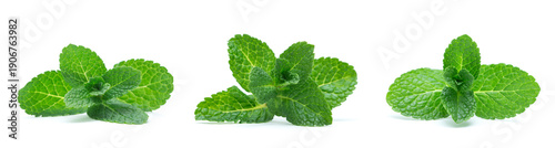 Canvas Print fresh green mint leaves isolated on white background. top view.