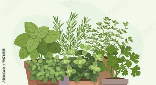 Assortment of potted fresh herbs in terracotta pots, flat illustration