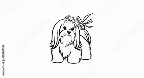 Adorable dog getting its fur groomed with scissors and comb