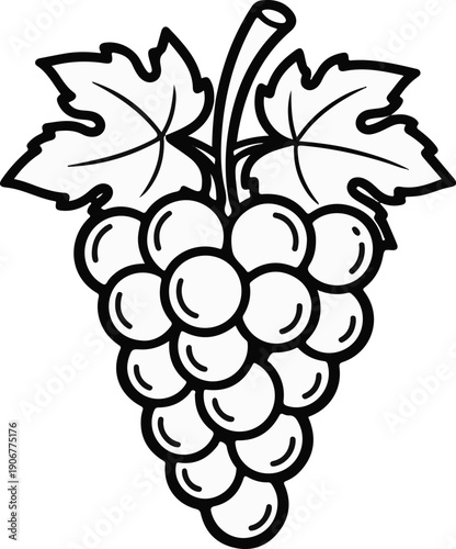 A stylized line drawing depicts a cluster of grapes with leaves