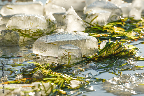 Eisschollen auf dem Wasser im Winter-Nahaufnahme