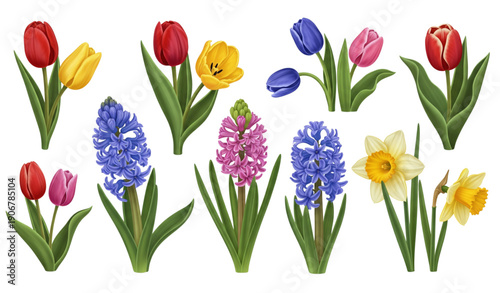 Tulips hyacinths and daffodils spring flowers vector illustration
