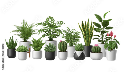 Collection of potted plants vector illustration on white surface