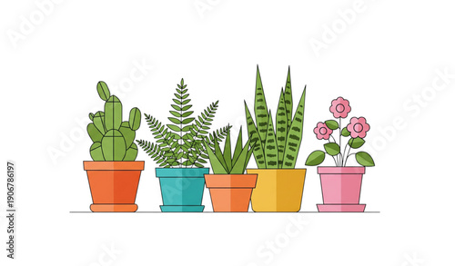 Flat vector illustration of potted plants for home and garden