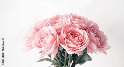 Bouquet of soft pink flowers against a clean white background