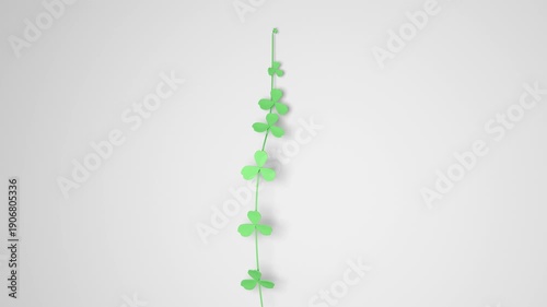 Clover branch growing with alpha channel
