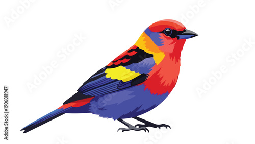 A vibrant, colorful bird with red, blue, yellow, and black feathers standing on a plain white background.