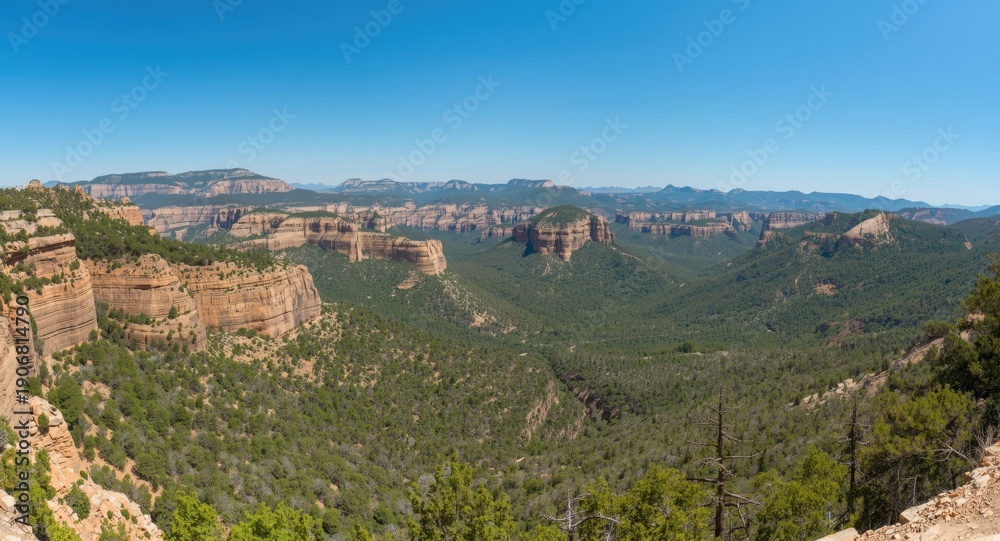 Fototapeta premium Birds eye composition displaying an extensive mountainous natural park with varied textures