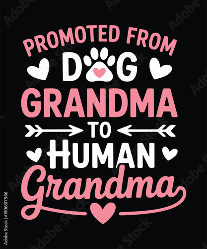 Promoted From Dog Grandma To Human Grandma Funny T Shirt