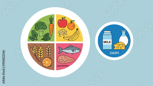 Dietary illustration featuring food groups on a divided plate and dairy