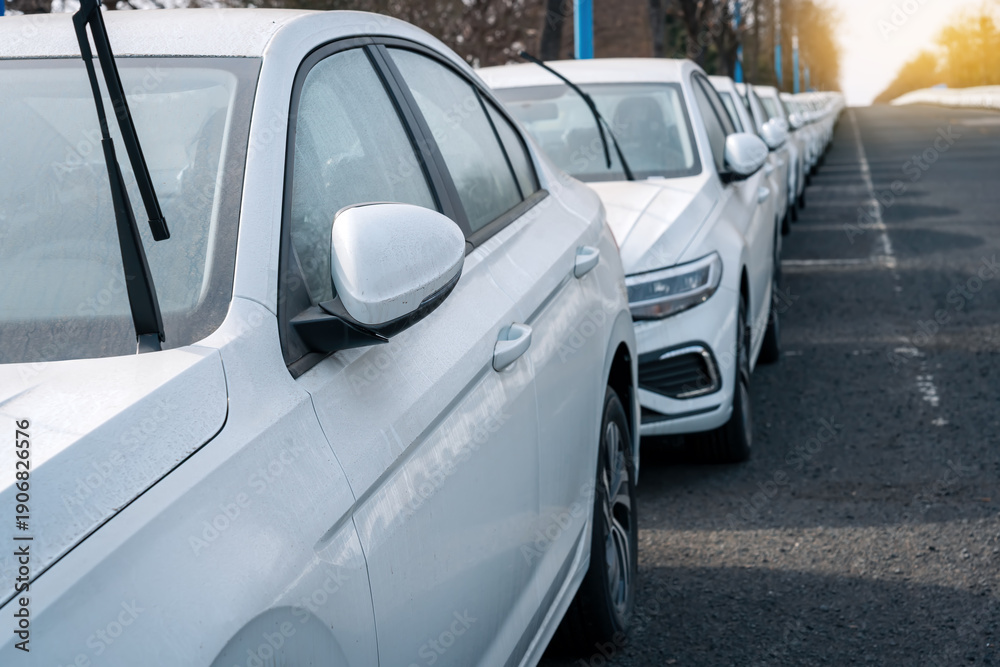 Fototapeta premium Row of White Sedans Parked on Urban Street