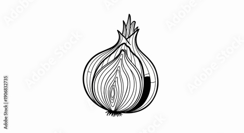 Black and white line drawing of a halved onion on a white background