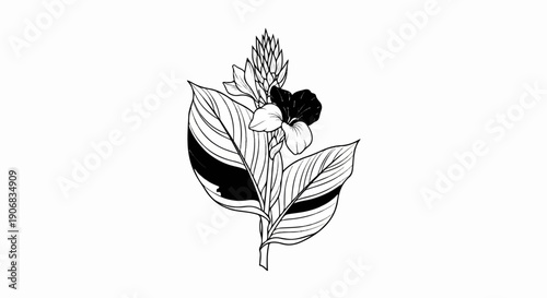A striking black and white illustration of a flowering plant with variegated leaves