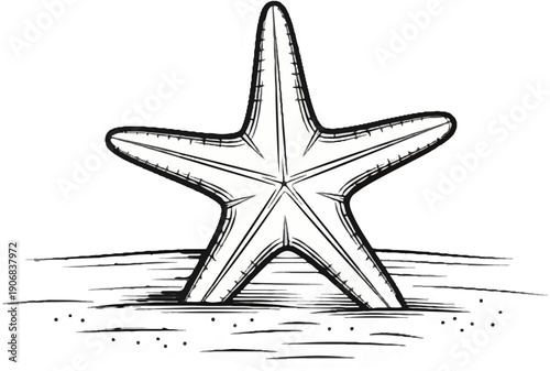 Black and white sketch of a five-pointed starfish resting on textured sand
