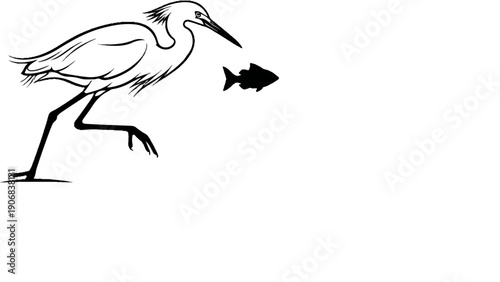 A sketch shows a bird with long legs, poised to catch a fish