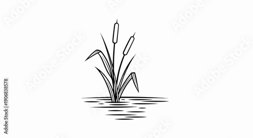 Black and white illustration of two cattails growing from rippling water