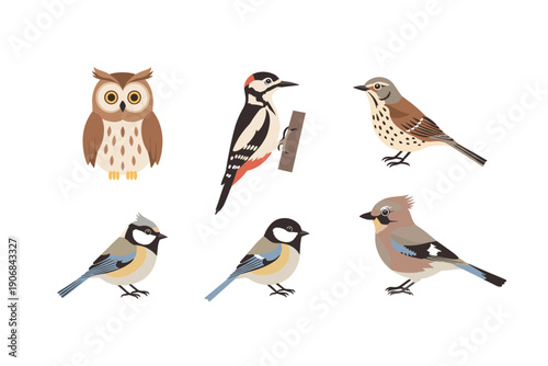 Various wild birds collection features diverse species illustrations including an owl, woodpecker, thrush, and tits, perfect for nature-themed designs.