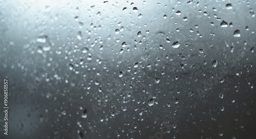 Close shot of rainwater bea...