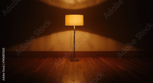 a standing lamp shedding wa...