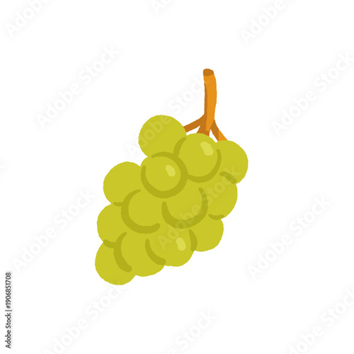 Exotic tropical fruits vector illustration set with grape melon fig cloudberry prickly pear salak akebia physalis tamarind gooseberry kiwano longan finger lime mulberry granadilla flat design