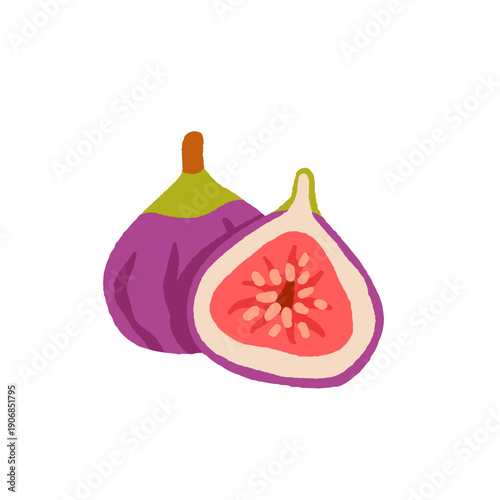 Exotic tropical fruits vector illustration set with grape melon fig cloudberry prickly pear salak akebia physalis tamarind gooseberry kiwano longan finger lime mulberry granadilla flat design