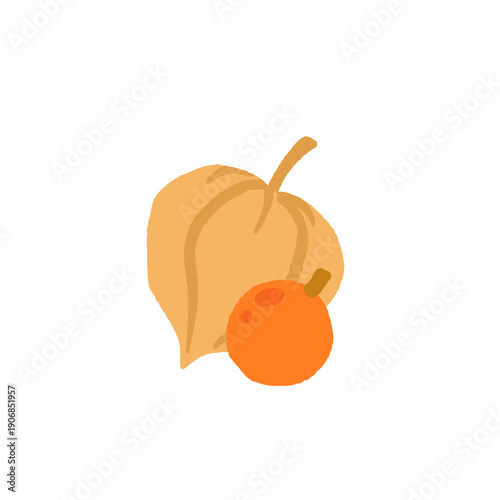 Exotic tropical fruits vector illustration set with grape melon fig cloudberry prickly pear salak akebia physalis tamarind gooseberry kiwano longan finger lime mulberry granadilla flat design