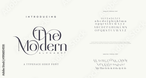 Elegant awesome alphabet letters font and number. unique serif font. Classic Lettering Minimal Fashion Designs. Typography fonts regular uppercase and lowercase. vector illustration
