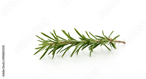 High quality image of a fre...
