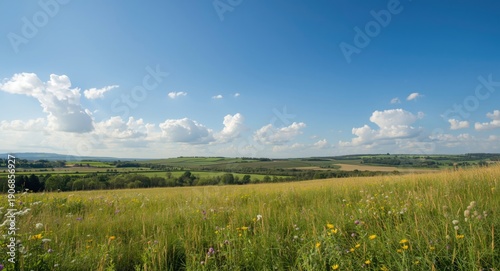 Idyllic landscape with broa...