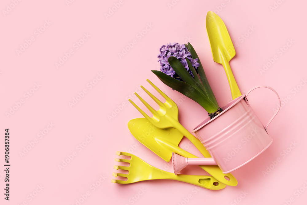 Fototapeta premium Spring, gardening and horticulter concept with hyacinths, tools and watering can on pink background, top view