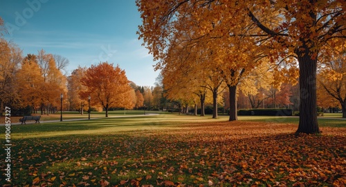Golden yellow orange and re...