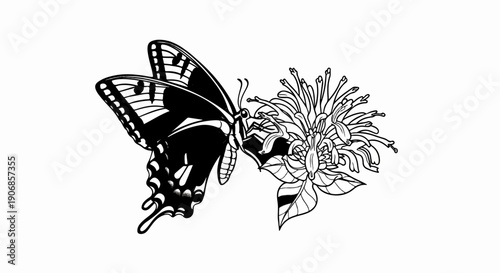 Elegant black and white illustration of a butterfly alighting on a detailed flower