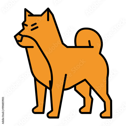 shiba dog